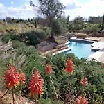 فندق مبيت وإفطار Delle Palme