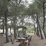 Delle Palme Trepuzzi