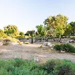Delle Palme Trepuzzi