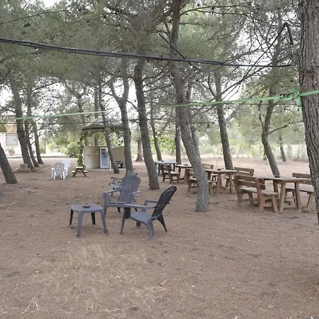 Delle Palme 3*