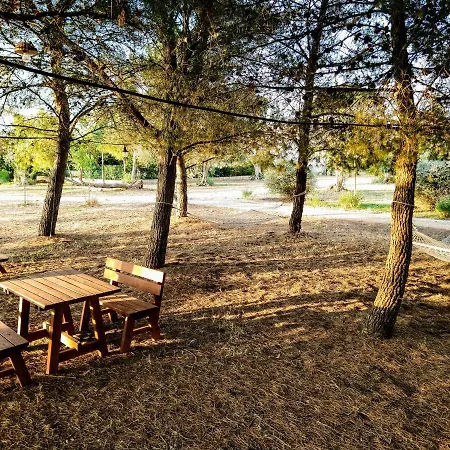 Delle Palme Bed & Breakfast *