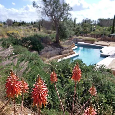 Oda ve Kahvaltı Delle Palme