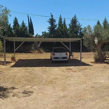 Bed & Breakfast Delle Palme 3*