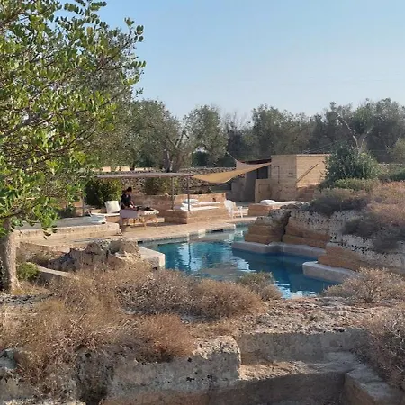 Bed & Breakfast Delle Palme