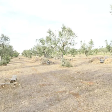 Delle Palme B&B Trepuzzi