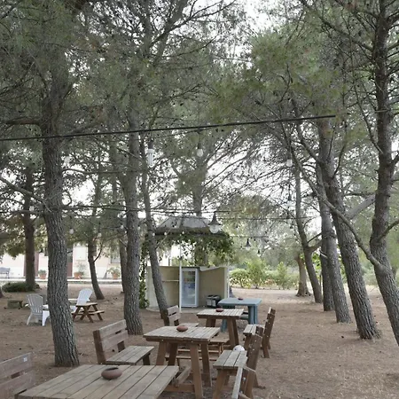 Delle Palme Trepuzzi