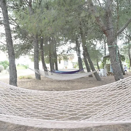 Bed & Breakfast Delle Palme