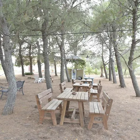 Delle Palme Bed & Breakfast *