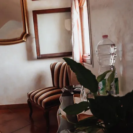 Delle Palme Trepuzzi