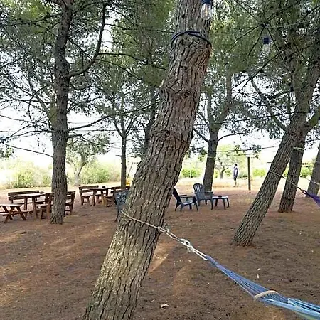 Delle Palme Trepuzzi
