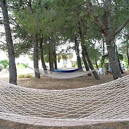 Delle Palme Oda ve Kahvaltı