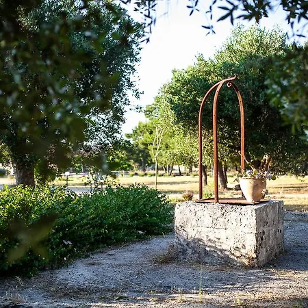 Bed & Breakfast Delle Palme Trepuzzi