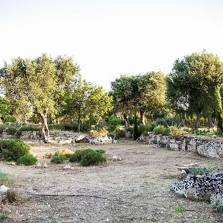 Delle Palme Trepuzzi