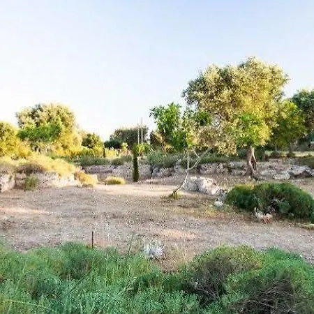 Delle Palme Trepuzzi
