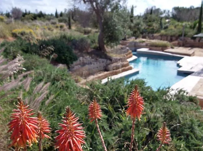 Bed & Breakfast Delle Palme