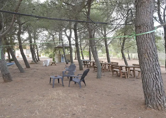 Delle Palme 3*